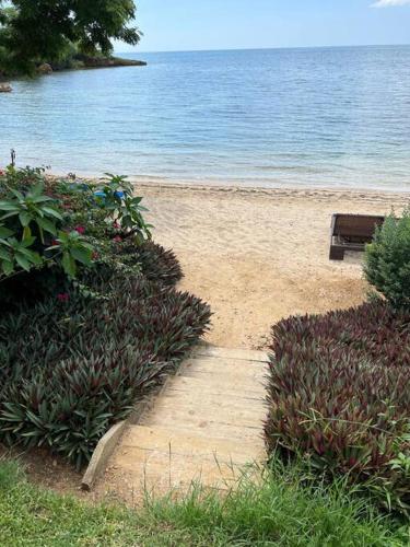 a bench sitting on a beach next to the water at Ivy's Cove Beach Side Condo - Luxury Villa in Whitehouse