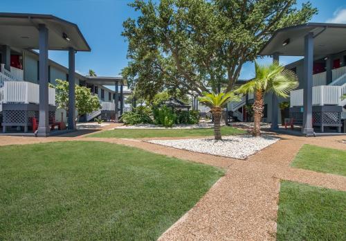 a courtyard with a palm tree in front of a building at Econo Lodge Inn & Suites Fulton - Rockport in Rockport