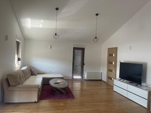 TV a/nebo společenská místnost v ubytování Apartman Ž