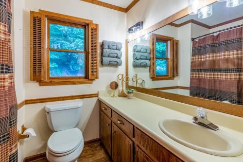 een badkamer met een wastafel en een spiegel bij Lazy Bear Lookout in Cullowhee