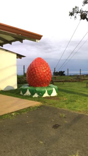 Cabanas Will – Photos 4
