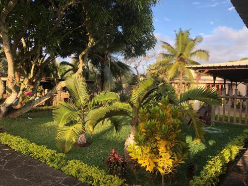 un jardín con palmeras y flores frente a una casa en Villa au cœur de Pereybère en Pereybere