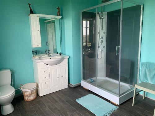 bagno con doccia, lavandino e servizi igienici di Chambres d'hôtes a Beaubec-la-Rosière