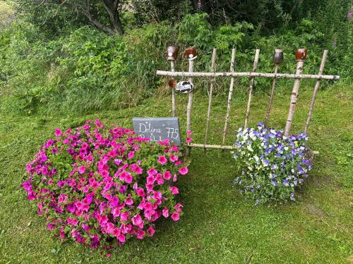 einen Garten mit Blumen und ein Schild im Gras in der Unterkunft Chata Dolina v Bachledke in Ždiar