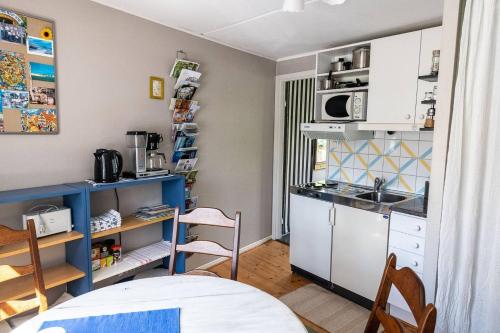 uma pequena cozinha com um lavatório e um balcão em Litet gathus mitt i Ystad em Ystad
