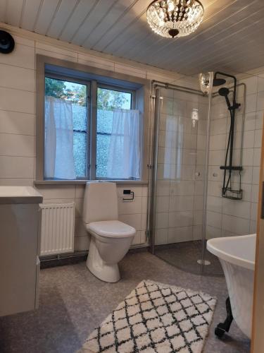 a bathroom with a toilet and a sink and a window at Sjötorps Säteris 1600-tals Huvudbyggnad in Larv