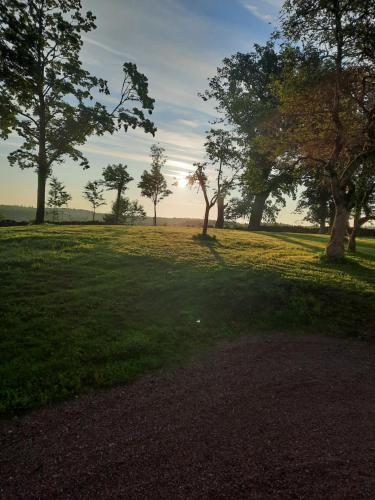 a giraffe standing in a field with trees at Sjötorps Säteris 1600-tals Huvudbyggnad in Larv