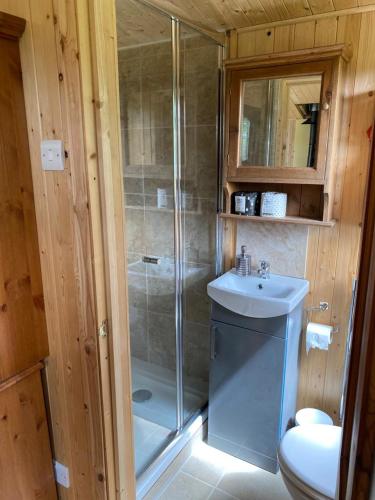 a bathroom with a shower and a toilet and a sink at Martha's retreat in Wimborne Minster