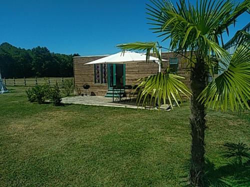 una pequeña casa con una palmera delante de ella en eco nature, gite à la ferme en Vendays-Montalivet