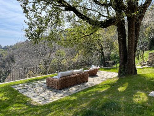 Foresteria Antica Bastia B&B في بيرغامو: أريكة للجلوس على فناء حجري تحت شجرة