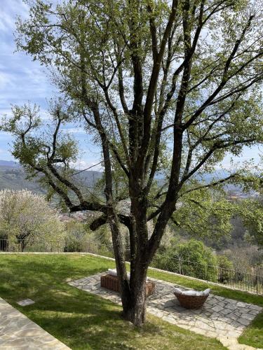 a tree sitting in the middle of a yard at Foresteria Antica Bastia B&B in Bergamo
