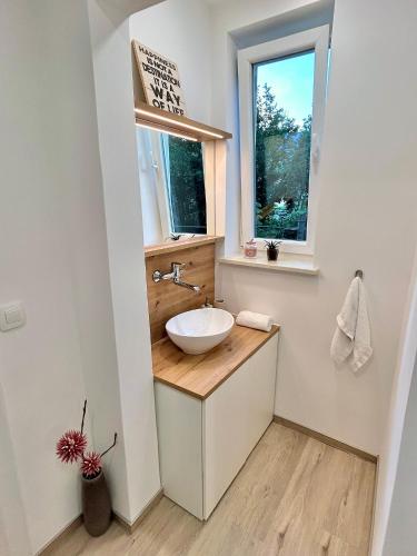 a bathroom with a sink and a window at Creekside House K in Mozirje