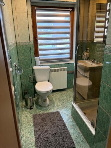 a bathroom with a toilet and a shower and a sink at Apartament u Jarosza in Poronin