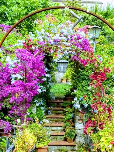 Κήπος έξω από το The Secret Garden Maratea - Casa di Elena