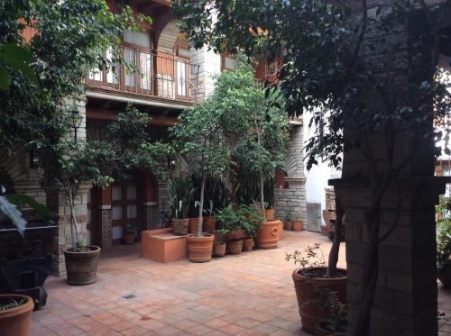 a courtyard with a bunch of potted trees at Hotel Socavon in Guanajuato