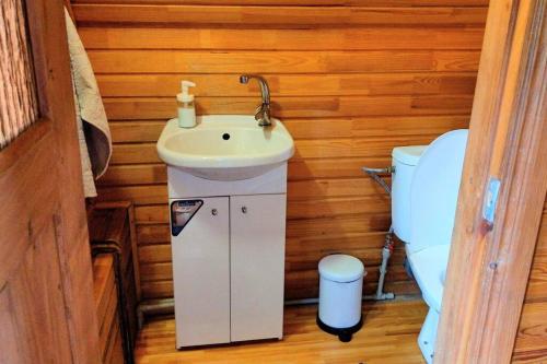 a bathroom with a sink and a toilet at Viesu māja Kolnā pie Adamovas ezera. 