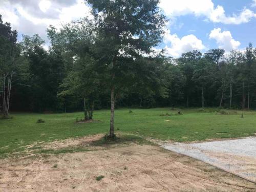a tree in the middle of a field at Tiny home with hammock loft BBQ and yard in Phenix City