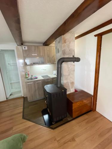 a kitchen with a stove in the middle of a room at Zabljak studio apartment 1 in Žabljak
