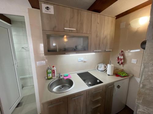 een kleine badkamer met een wastafel en een douche bij Zabljak studio apartment 1 in Žabljak