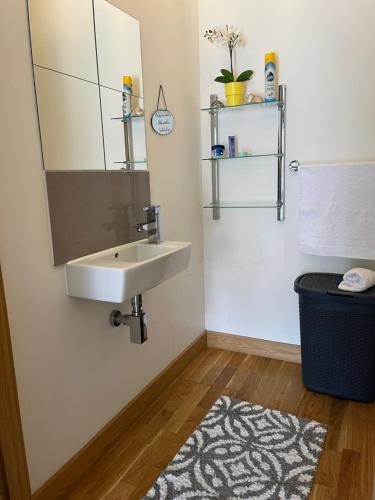 a bathroom with a sink and a mirror and a rug at Two double bedroom duplex flat in London