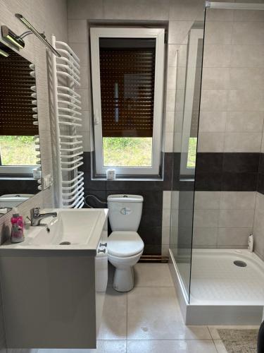 a bathroom with a toilet and a sink and a shower at Domek u Pilota in Ropienka