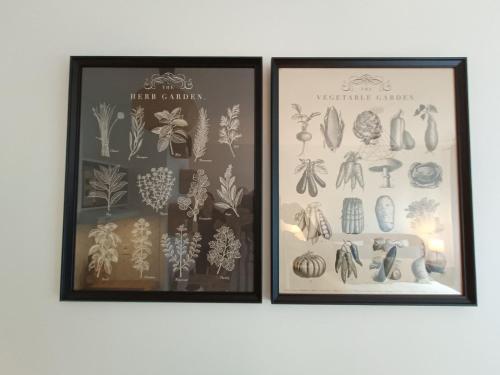 two framed prints of plants on a wall at Studio Cosy neuf + lit bébé à 4 minutes RER A in Montévrain