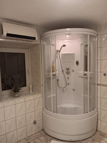 prysznic ze szklaną obudową w łazience w obiekcie Family house w Hvarze