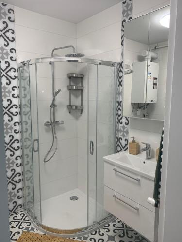 W łazience znajduje się prysznic i umywalka. w obiekcie Apartament Smile w mieście Tomice