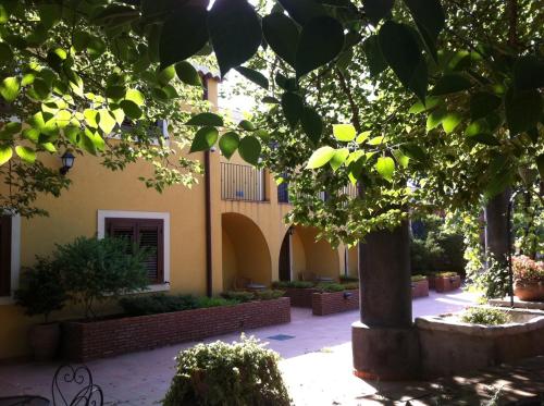 a building with a tree in the middle of a courtyard at La Terra Del Mezzo in Riposto