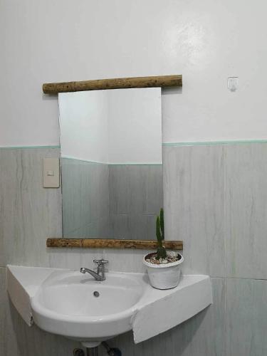 a bathroom sink with a mirror and a potted plant at Treasure Beach Resort in Carles