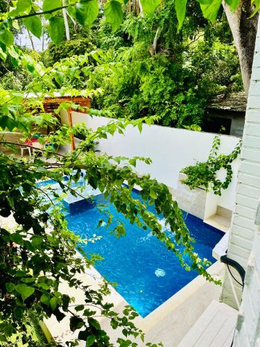 Kolam renang di atau dekat dengan Palmare House