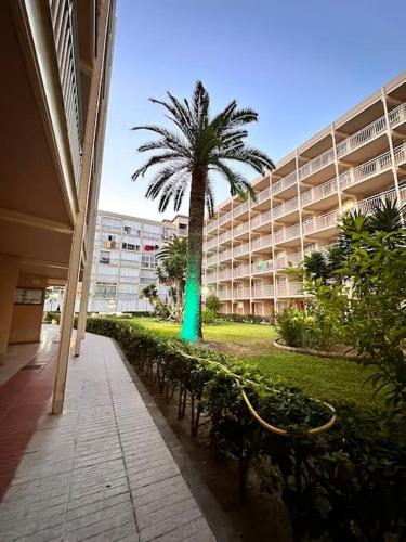 a palm tree in front of a large building at A pie de PLAYA in La Pineda