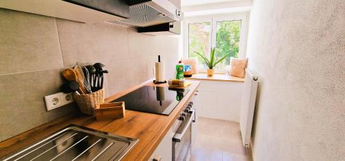 a small kitchen with a counter and a sink at Select-Home 4 Schwandorf - Geräumig - Küche - Netflix - Zentral in Schwandorf in Bayern