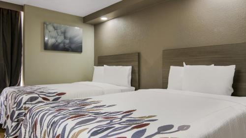 a hotel room with two beds and a window at Red Roof Inn and Conference Center Chicago - N Aurora Naperville in North Aurora