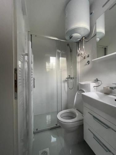 a bathroom with a shower and a toilet and a sink at Apartment Herceg Blagaj in Blagaj