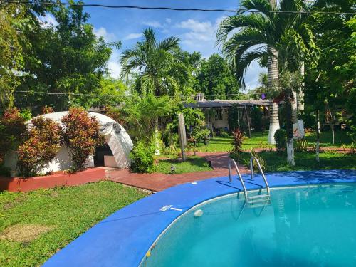 Un patio trasero con piscina y una casa. en Cabañas Colibrí, en Bacalar