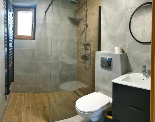 a bathroom with a shower and a toilet and a sink at Kraina Rysia in Berezka