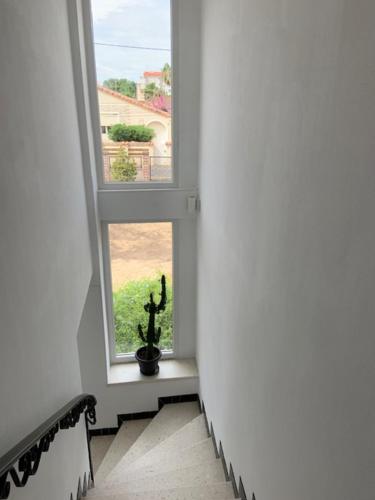 Una habitación con una ventana con un cactus. en VACANCES en Le Grau-dʼAgde