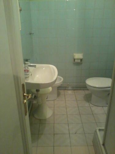 a bathroom with a sink and a toilet at Pensión Gema in Irún