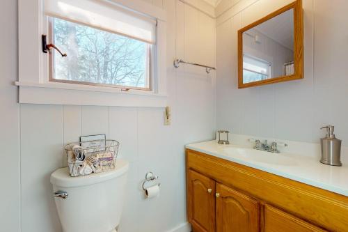 a bathroom with a toilet and a sink and a mirror at Lakeside Cottages on Toddy Pond in Orland