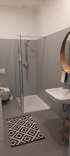 a bathroom with a shower and a sink and a toilet at Apartments DOLAC Zagreb in Zagreb