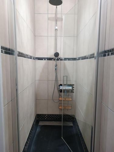 une salle de bain avec une douche avec un tuyau dans l'établissement La petite ligérienne, à Villebernier