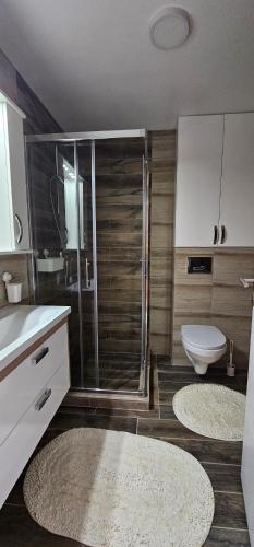 ein Bad mit einer Dusche, einem WC und 2 Teppichen in der Unterkunft Vrnjački Lux free parking GARAGE in Vrnjačka Banja