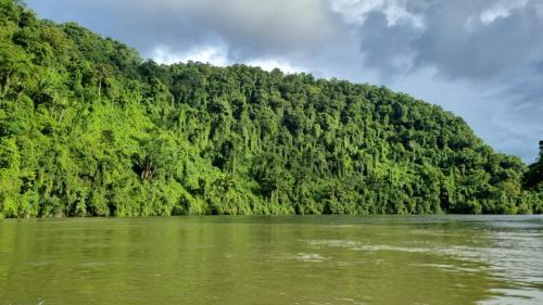 a river in front of a forested mountain at Tortugal Boutique River Lodge in Rio Dulce