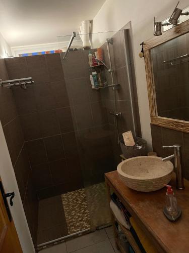 La salle de bains est pourvue d'une douche et d'un lavabo. dans l'établissement Appart charmant - Lumineux, à Les Abymes