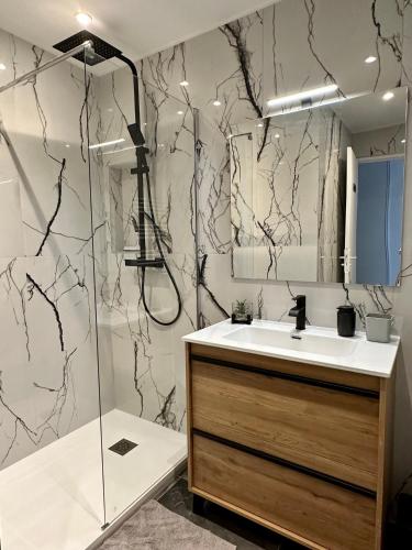 une salle de bain avec un lavabo et une douche dans l'établissement Appartement 3 chambres - Proche metro, à Villeurbanne