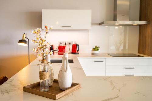 uma cozinha com armários brancos e um balcão com vasos em Appart Florida Mer 3ch Luxe em Schœlcher