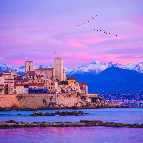 a group of birds flying over a castle on a hill at Appartements climatisés - Vieil Antibes in Antibes