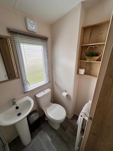 a bathroom with a white toilet and a sink at Cosy Caravan in Ulrome