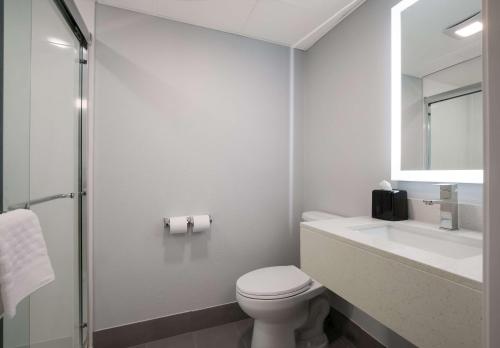 鴿子谷的住宿－SureStay Plus by Best Western Pigeon Forge，一间带卫生间、水槽和镜子的浴室